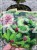 Świerk pospolity PUSCH- Picea abies C5l, 25-35cm