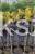 Cyprysik Lawsona KARACA- Chamaecyparis lawsoniana PA80-90/30-40, C5l