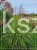 Miskant chiński Luna - Miscanthus sinensis C5l