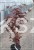 klon palmowy Pixie- acer palmatum..jpg