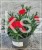 Goździk Dianthus caryophyllus Bright Red35 (