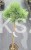Sosna pospolita " Frensham" Pinus sylvestris PA 80-90/15-25cm (