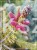 Świerk pospolity PUSCH - Picea abies PA80-95cm, C5l, C75l