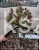 Świerk pospolity RYDAL - Picea abies wys. 60-70cm