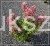 Hortensja bukietowa Diamante Rouge