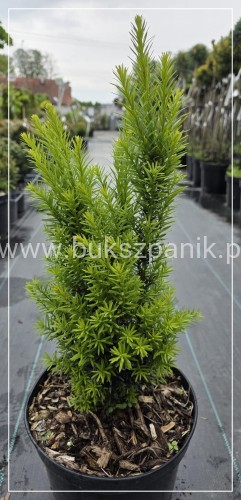 1000013590.jpg