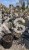 IMG_6098.jpeg