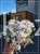 Floks White delight - Phlox subulata - Amazing grace