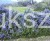 Rozmaryn lekarski duża rozkrzewiona sadzonka- Rosmarino