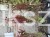 IMG_8026.jpeg