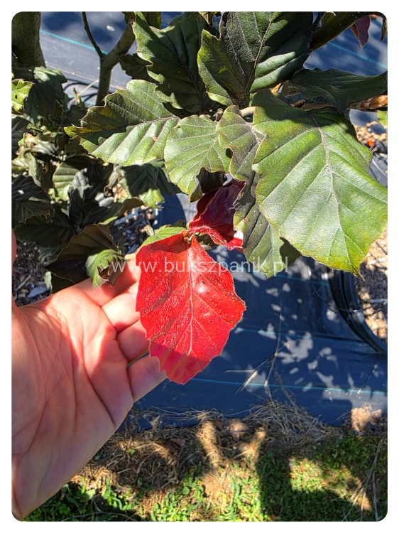 20260813_103946.jpg