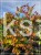 Judaszowiec kanadyjski 220-240cm wys. Eternal Flame - Cercis canadensis
