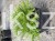 IMG_9551.jpeg