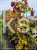 Judaszowiec kanadyjski Eternal Flame - 25l Cercis canadensis 210cm