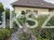 Cis formowany KULE BONSAI wys. 150cm