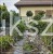 Cis formowany KULE BONSAI wys. 150cm