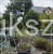 Cis formowany KULE BONSAI wys. 150cm