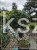 Cis formowany KULE BONSAI wys. 150cm