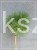 Sosna czarna Rockley WB - Pinus nigra PA110-125cm C12l
