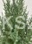 IMG-20201217-WA0017.jpg