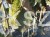 20200919_161847.jpg
