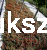 irga.PNG