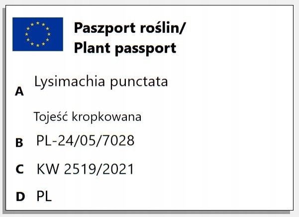 e8a24538415e9c6aa3988589d75c