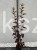 Pęcherznica kalinolistna 'Diabolo'-Physocarpus opulifolius