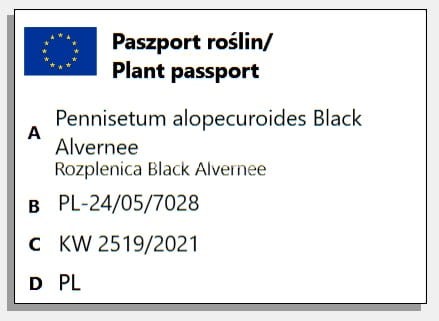 rozplenica black alvernee paszport.jpg