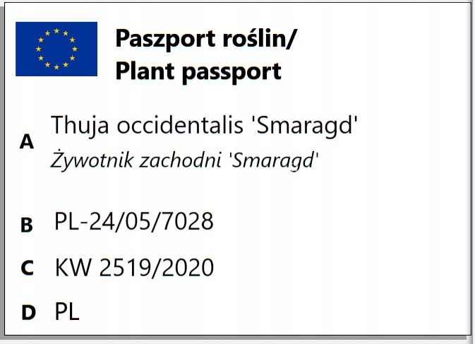 c38a07744f7286df5ad86985d425