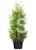 40a2db2c401ebbbeaa8f1c9d3993