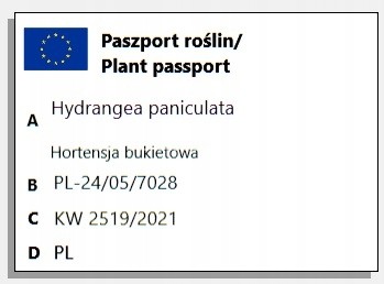 039dcfd241c8aa896640cf6ba6fc