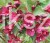 Krzewuszka BRISTOL RUBY - WEIGELA różowo-czerwona