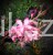 FB_IMG_1636963795157.jpg