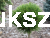 schmidtii.png