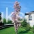 prunus 2.jpg