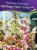 hortensja bukietowa PINKY WINKY 'DVPPinky'-Hydrangea paniculata C7,5l