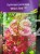 Hortensja bukietowa WIM`S RED -Hydrangea paniculata C7,5l