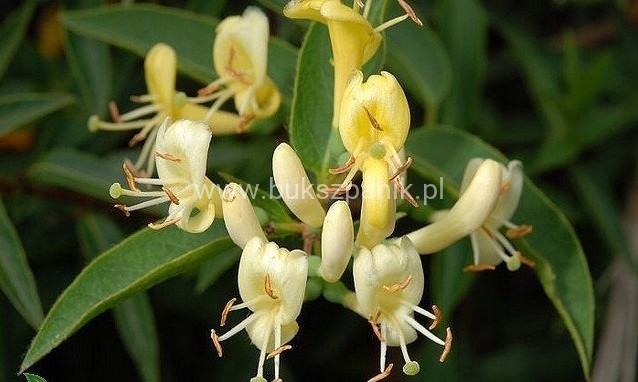 b39f488d417e9c5cb6427def9f37