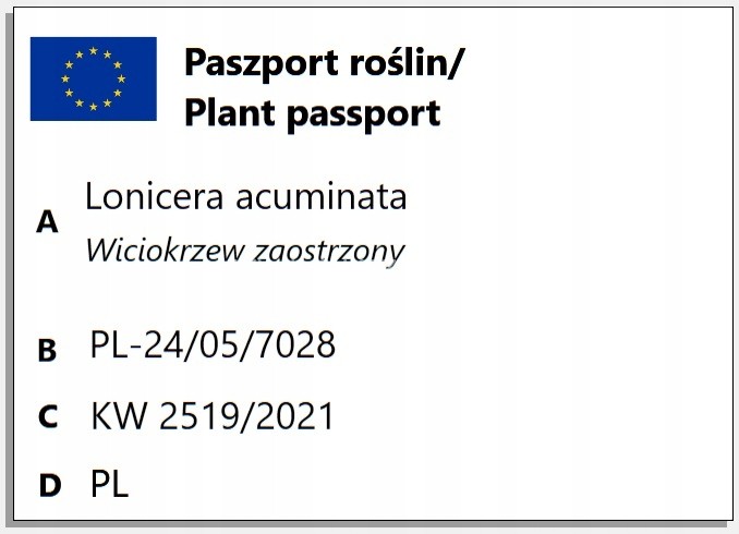 a45cc7d444169bbecc7be605f452