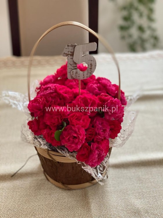 Róża okrywowa malinowa - Rosa c2l