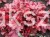 heuchera red.JPG